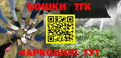 стафф Пенза