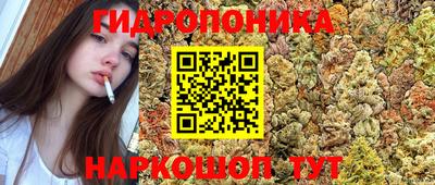 гидропоника Партизанск